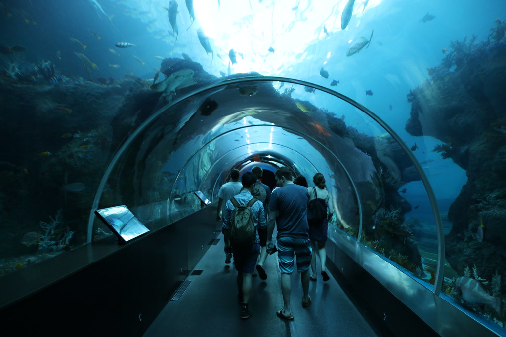 Visit to S.E.A. Aquarium Sentosa Island (Singapore) - May 14, 2016
