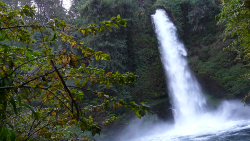 chile viaje rio agua bosque salto indio cascada temuco araucanía curacautín