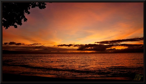 ocean sunset sky reflection beach clouds hawaii branches maui “west “pacific ocean” wanam3 maui”