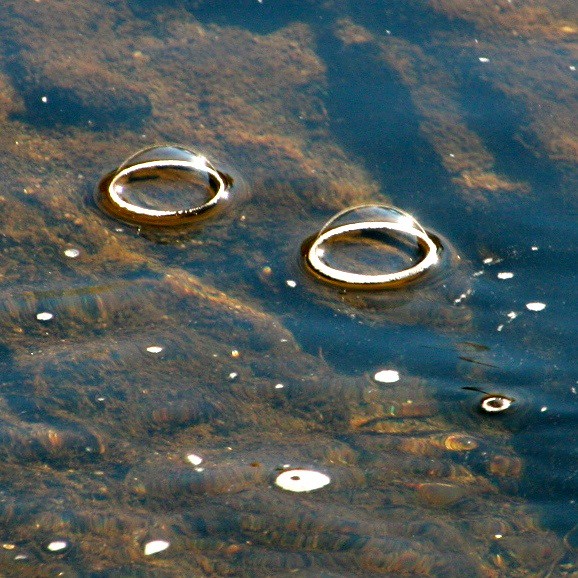 Surprising Bubbles In Sabino Canyon Creek <<>> Cropped