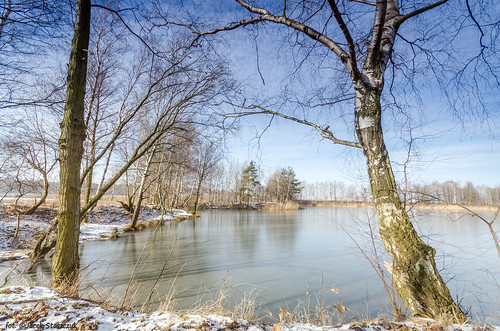 winter red lake snow tree landscape pond poland polska zima woda śnieg drzewa krajobraz lowersilesia dolnyśląsk sigma1020456 nikond7000 marumigcgray