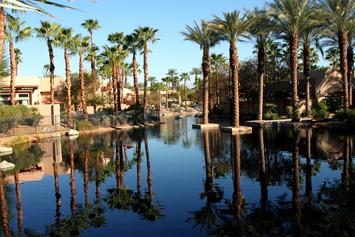 california ca trees reflection water pool river hotel mirror indian wells palm resort springs manmade spa regency hytatt konomark