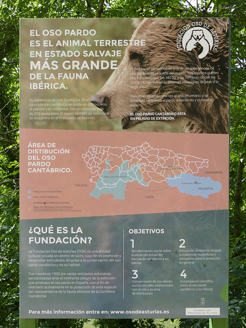 Ruta Senda del Oso. Osera. Cartel Oso Pardo (Asturias)