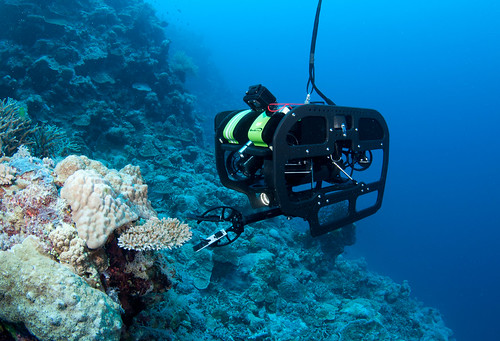 Remote-controlled-robot-allows-collection-of-deep-reef-coral-samples