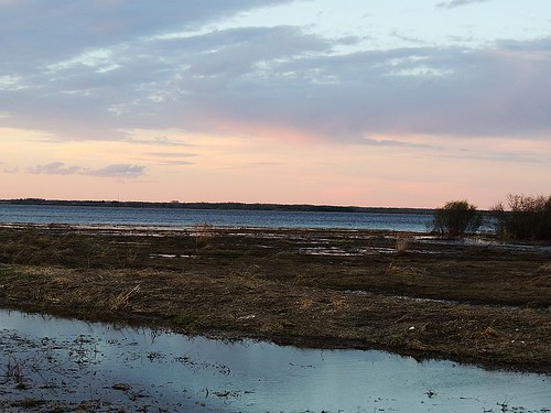 nature conservation wetlands park provincial grasslands waterfront geese wildlife ducks sunsets floodplain acheson edmonton alberta sunset