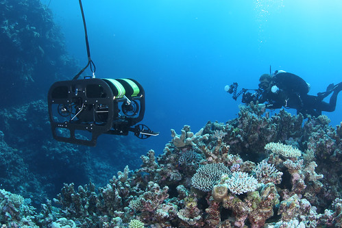 Scientists-and-ROV-working-in-tandem-to-meet-all-our-goals-efficiently