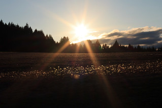 Sunset Field at Thatcher Park
