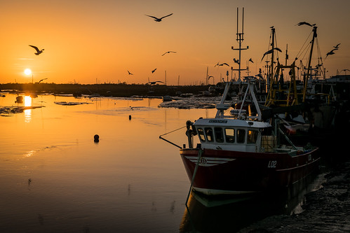 winter sunset sea orange birds river boat seafront leigh leighonsea southend