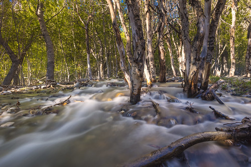 california longexposure cold hike trail aspens cottonwoods easternsierra convictlake convictcreek