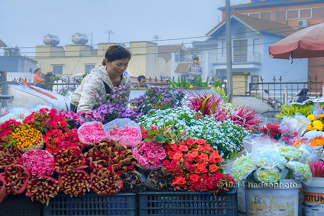 _DSF3295.Quang An Flower Market