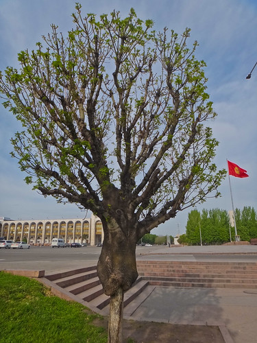 trees monument grass statue landscape victory topheavy kyrgyzstan manas bishkek alatoosquare