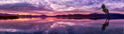 red sky panorama orange lake reflection tree public water grass yellow clouds canon dawn published purple canonef50mmf14usm canoneos6d ayearofpictures2013