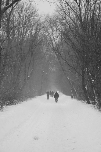 blackandwhite bw snow monochrome arlington path explore minutemantrail minutemanbikeway pathscaminhos ysplixblack