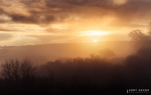 morning trees england mist clouds sunrise golden unitedkingdom sony wallingford goldenhour wittenhamclumps southoxfordshire a99 sonyalpha andyhough earthtrust slta99v andyhoughphotography tamronsp70200di