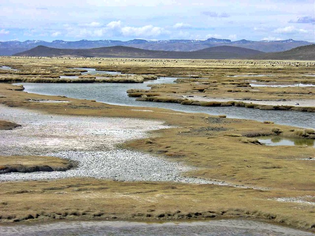 Arequipa to Colca, Peru - Altiplano - La Reserva de Salinas y Aguada Blanca