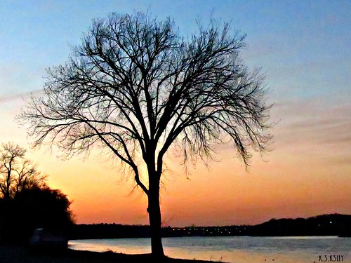 sunset tree riverside variations variationsonatheme