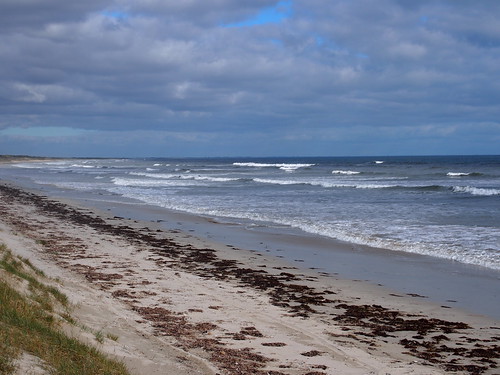 Kings Beach