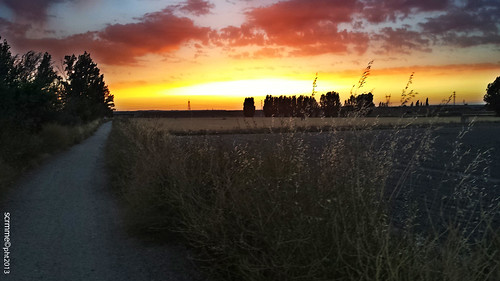 Puesta de verano by scrmme©pht, sunset españa field atardecer spain camino path valladolid puestadesol campos esgueva renedo
