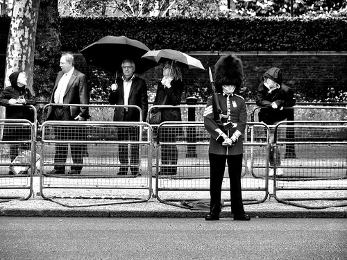 Waiting… | by Dennis Sparks