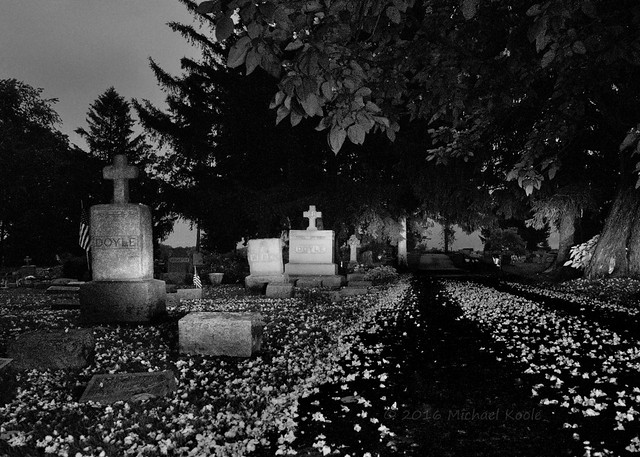 Visions Past. St. Patricks Cemetery, Parnell, MI 2011-06