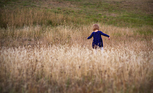 freedom girl field campania tasmania farm rural playing running longgrass grass sigma 85mm f14