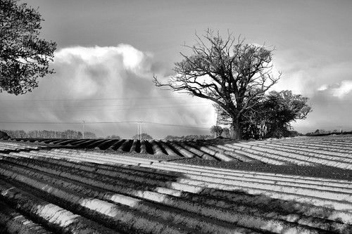 Cross Over | by fidget65
