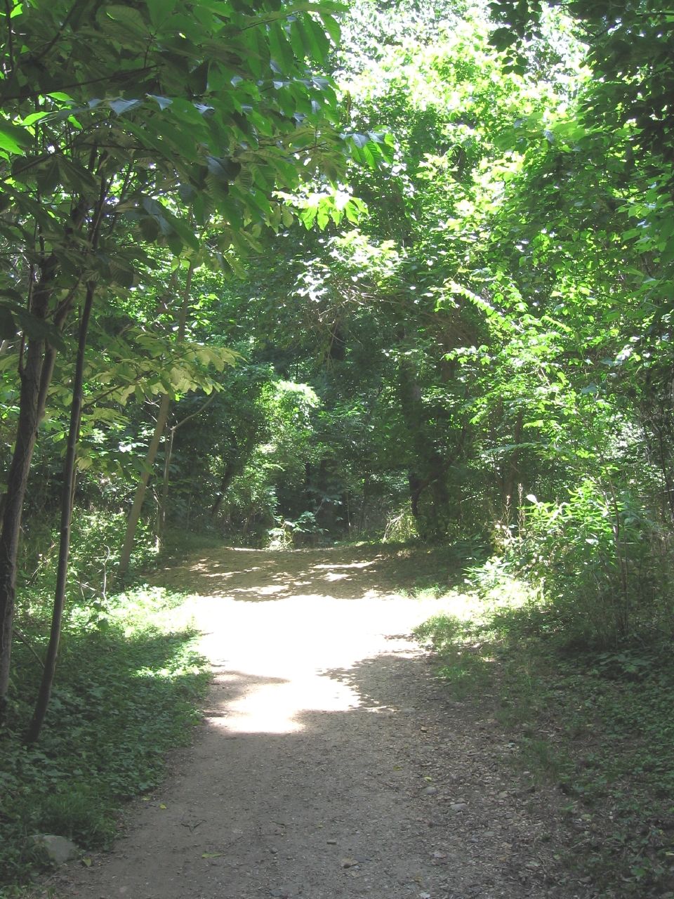 Island Trail
