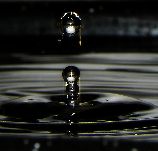 Skull reflected in water drop