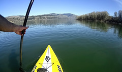 Stand up paddle in the Columbia River Gorge