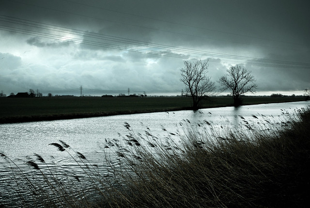 series: Dutch landscape