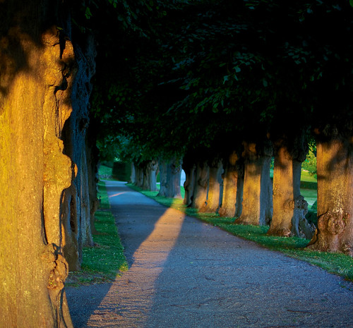 Path to... | by PinballViking