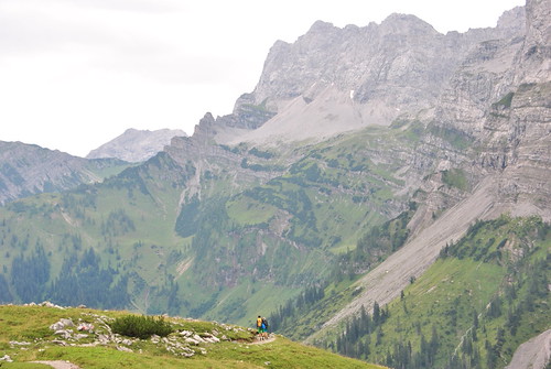 DSC_0624 | by stacheltierchen