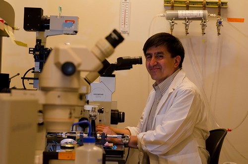 Dr. Shoukhrat Mitalipov, Ph.D., Oregon Health & Science University