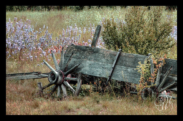 Old Wagon in ghost town Ashcroft, CO - HDR image