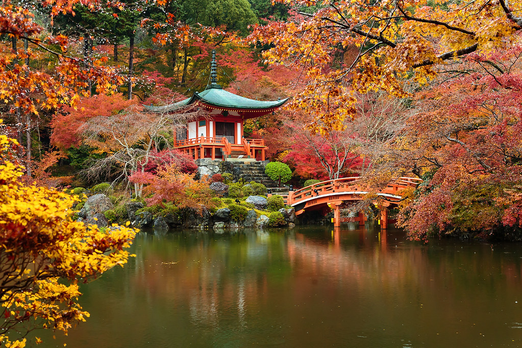 A Temple In Kyoto Blazing in Fall Color