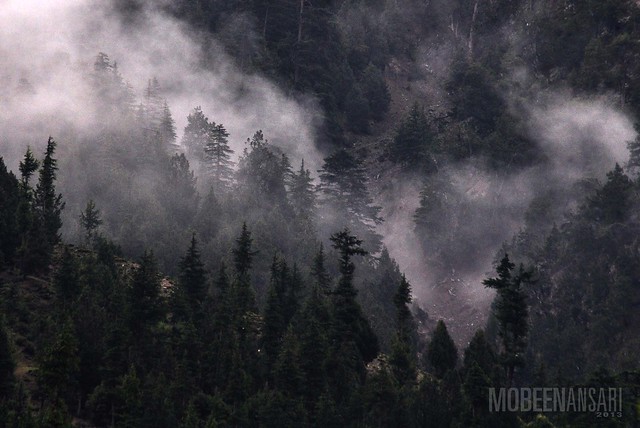 Misty morning in Kalash Valley