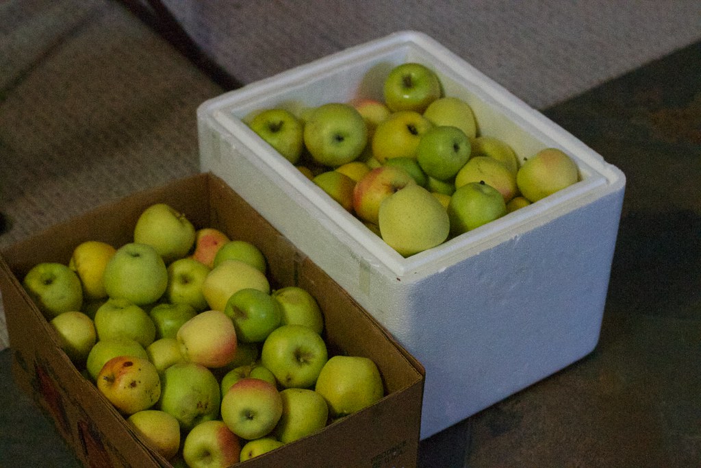 Last Round of Apples | I pulled these two boxes of apples fr… | Flickr