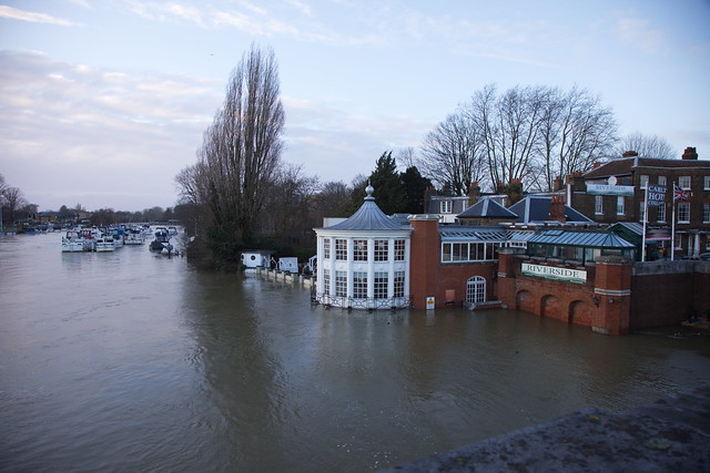 Thames in flood
