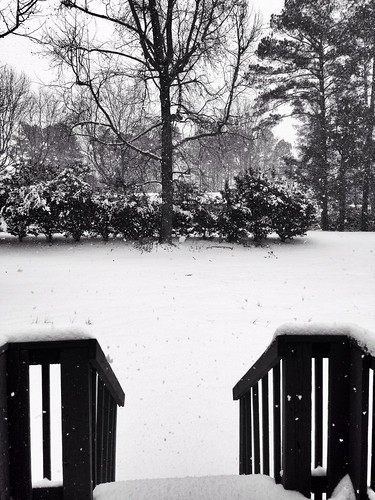 winter blackandwhite white snow black nature view front deck rockhill uploaded:by=flickrmobile flickriosapp:filter=nofilter