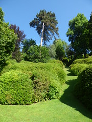 Villa Carlotta - The Botanic Garden - The theatre of greenery