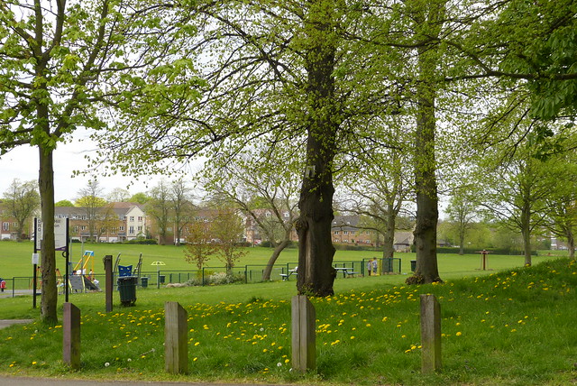 Spring Colours, Duppas Hill Park, Croydon