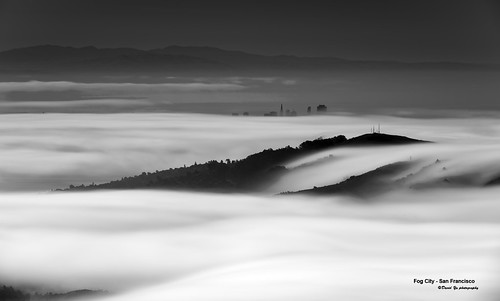 Fog City - San Francisco | by davidyuweb