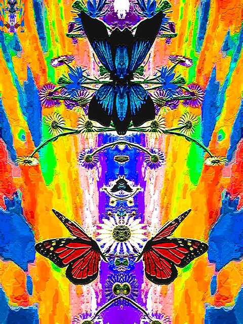 Butterfly Starship Convention