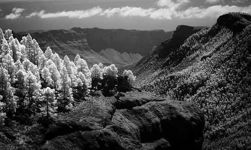 trees bw mountains ir islands spain rocks view hike cliffs pines valley infrared gran canary canaria