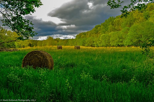 rural landscape farm country hay