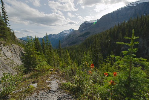 berg-lake-trail-s-bastien-launay-flickr