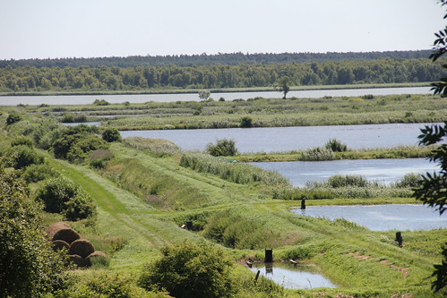Fishing ponds , Ślesin 🇵🇱 village 23.07.2013 by szogun000, road nature rural canon landscape countryside village lakes meadows poland polska dirt kujawskopomor