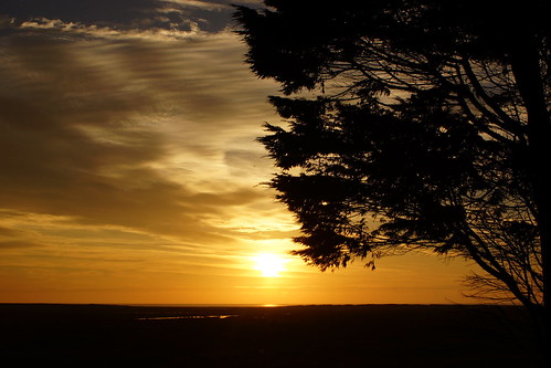 red england sky sun tree sunrise golden coast branch sony east alpha twigs a77 saltfleet