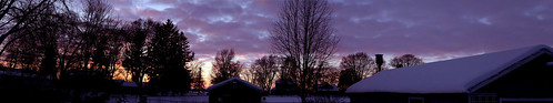 sunset panorama tree wisconsin clouds back backyard