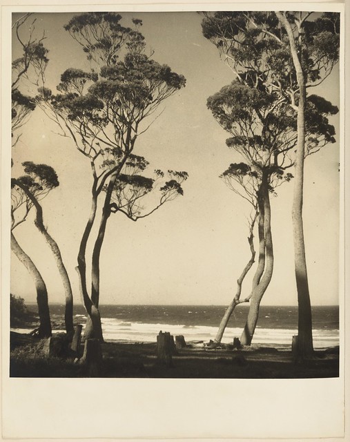 Beach scene from Camping trips on Culburra Beach by Max Dupain and Olive Cotton